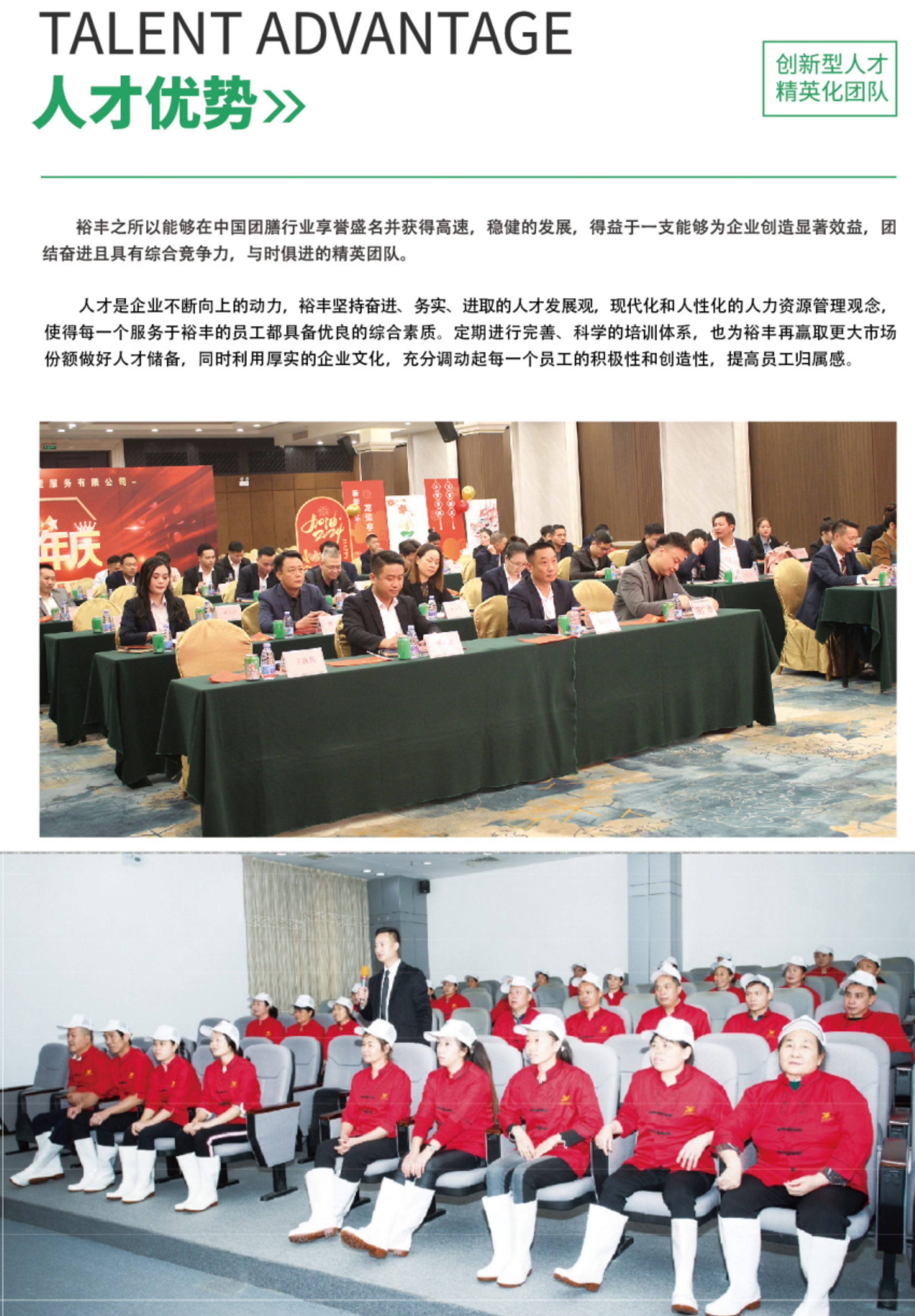 2.6人才優(yōu)勢